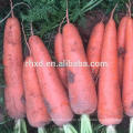 высокое качество органический большое морковный фреш